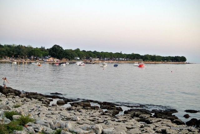 6-DSC_0633